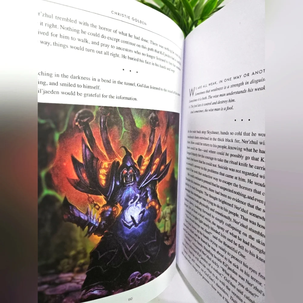 World of Warcraft Illustrated Novels